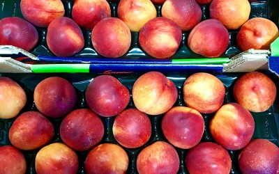 Peaches and Nectarines